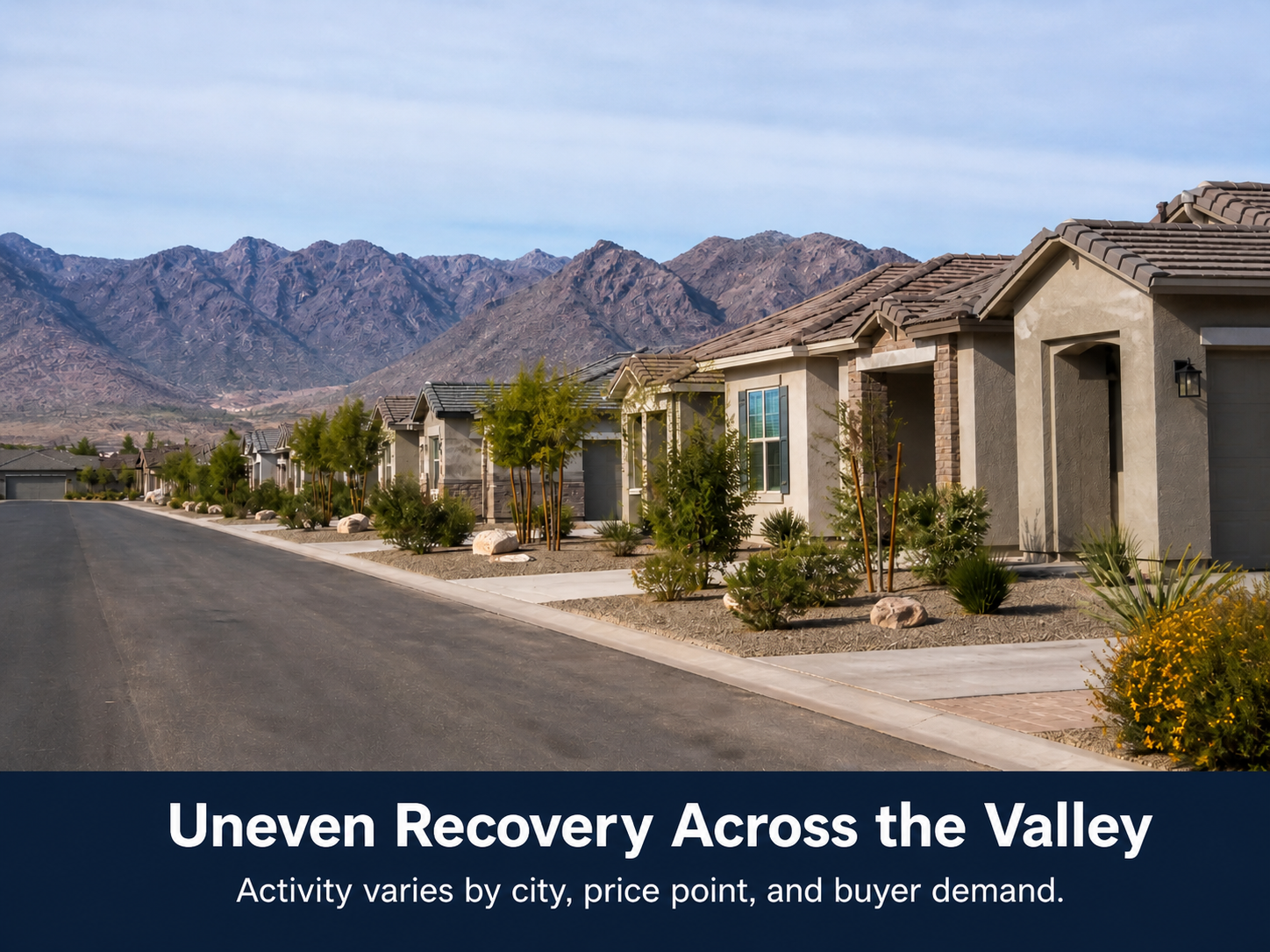 Phoenix new construction market finished neighborhood with mountain backdrop and desert landscaping